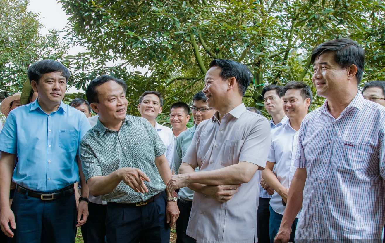Vietnam targets 5 billion USD of durian export: Focus on three key factors